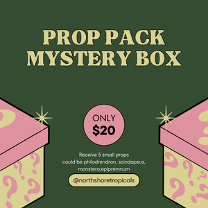 Prop pack mystery box