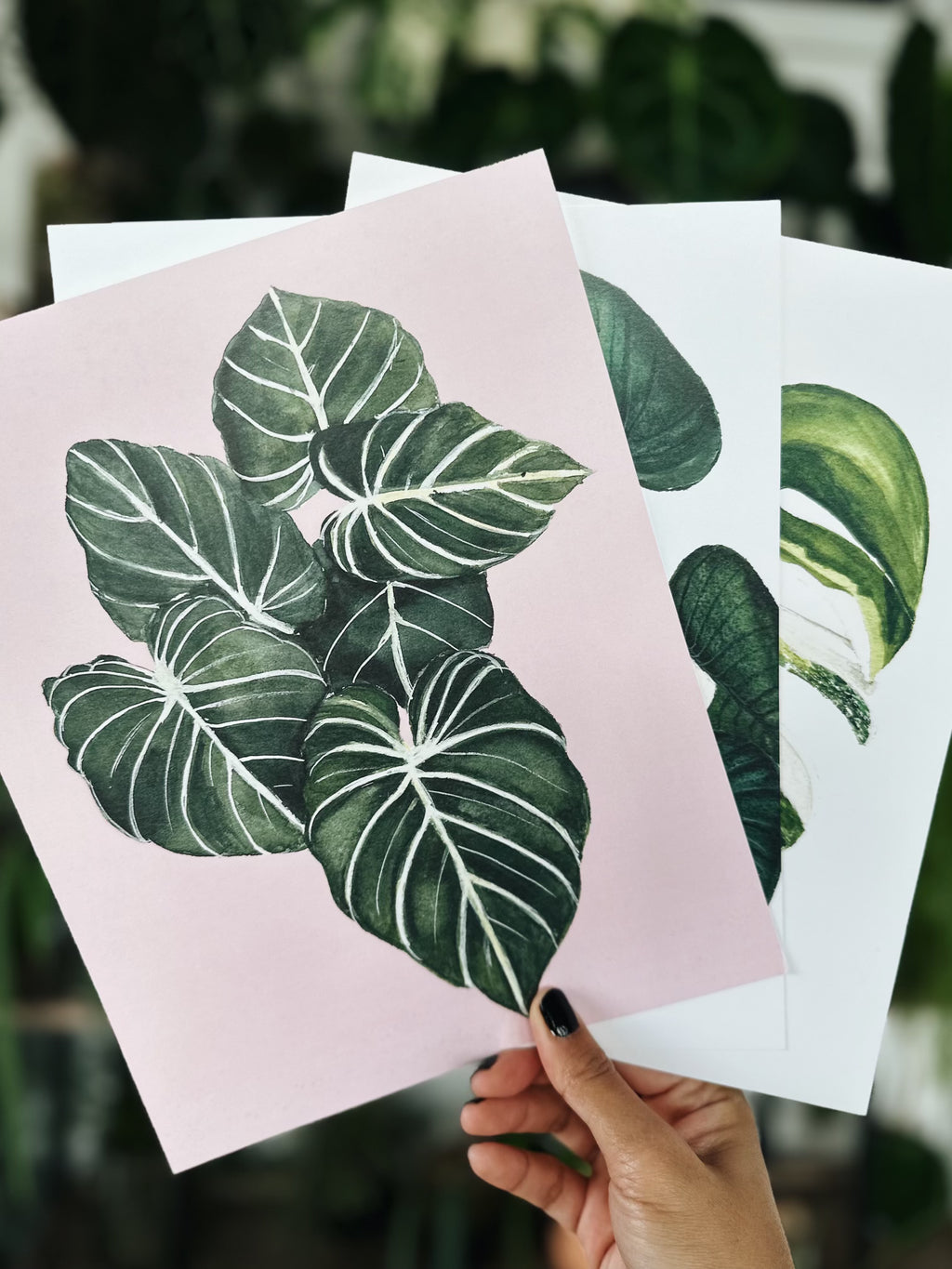 Prints bundle - 3 prints