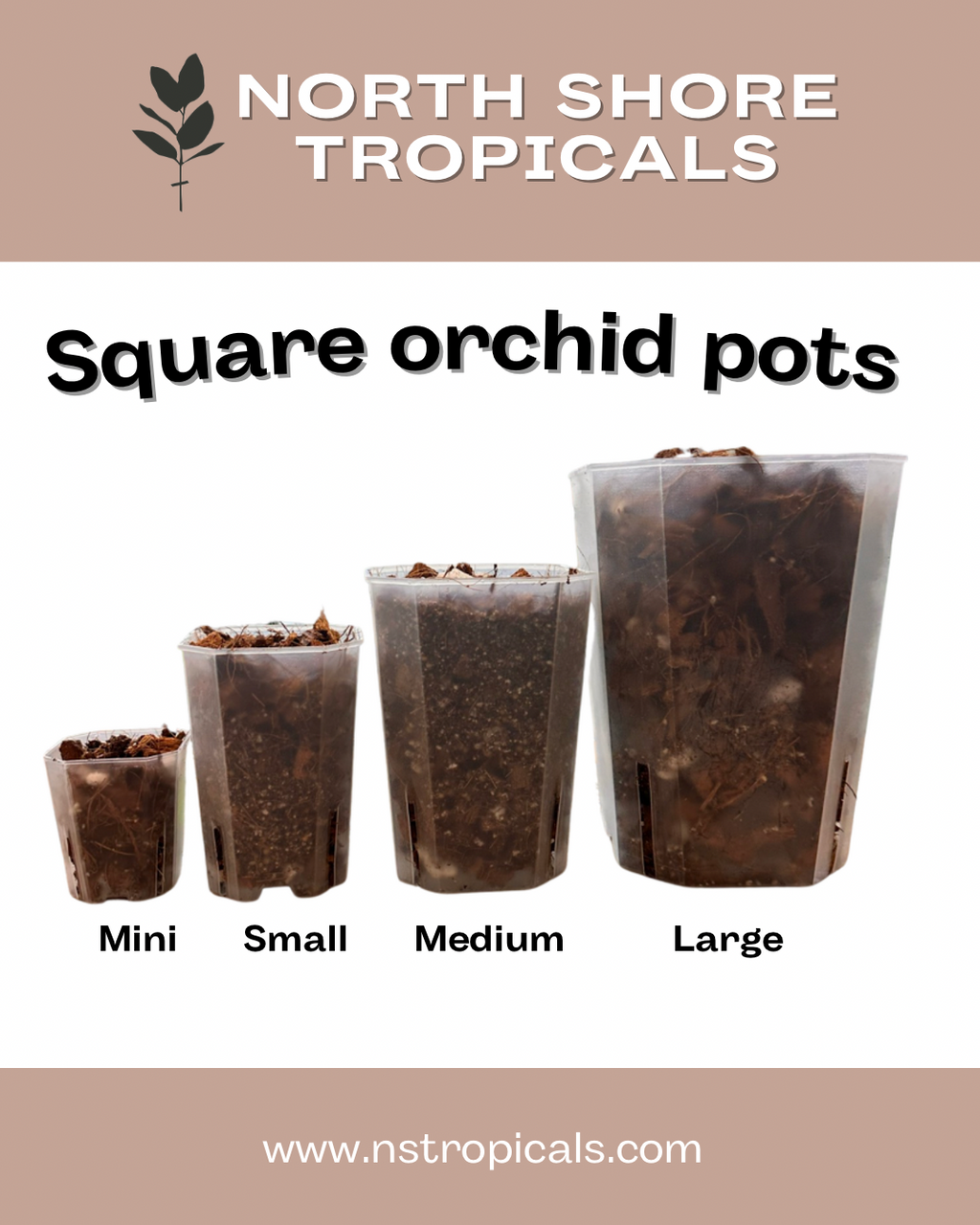 Square Clear orchid pots